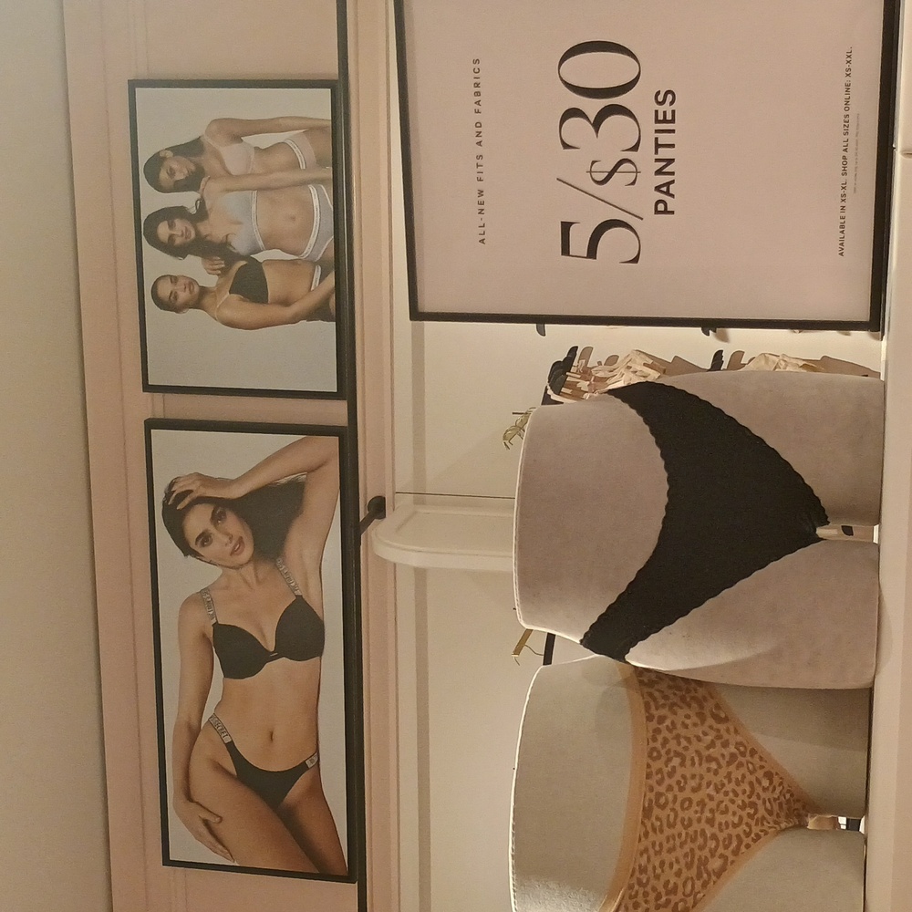 VS Panties